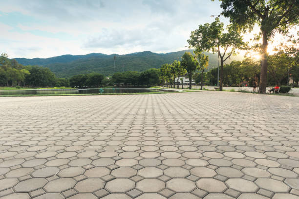 Best Best Driveway Pavers  in Carrollton, MO