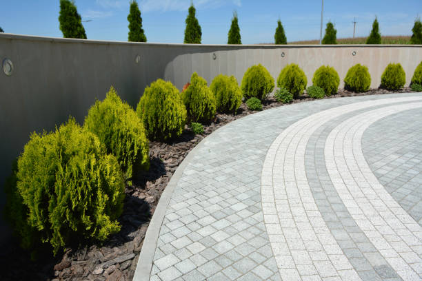 Best Residential Driveway Paver Services  in Carrollton, MO